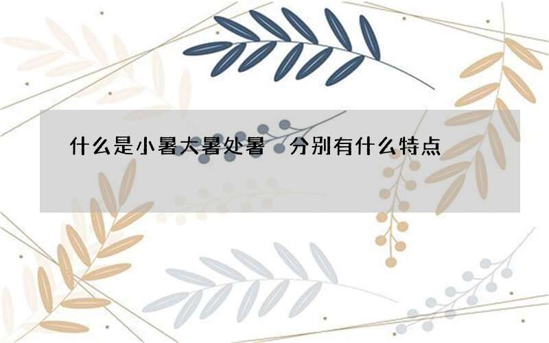 什么是小暑大暑处暑 分别有什么特点